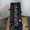 Engine JAC HFC4DB2-1D1