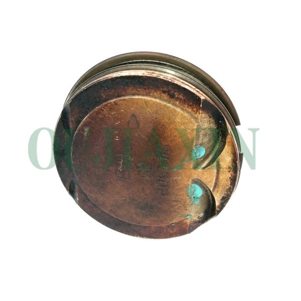 Renault F4R piston