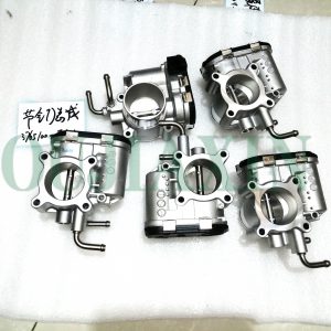 Great Wall Throttle