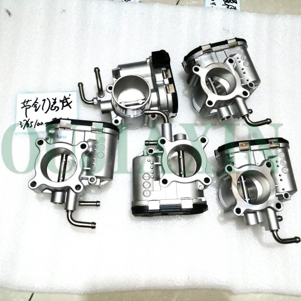 Great Wall Throttle