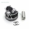 Piston Kit for BMW N18B16 (11257601077) Piston Kit for BMW N18B16 (11257601077)