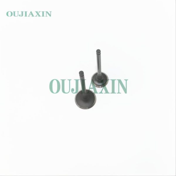 Valves — Hyundai G4FD (22211-2B000, 22212-2B000) Valves — Hyundai G4FD (22211-2B000, 22212-2B000)