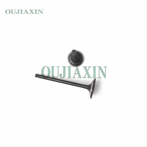 Valves — Hyundai G4FD (22211-2B000, 22212-2B000) Valves — Hyundai G4FD (22211-2B000, 22212-2B000)