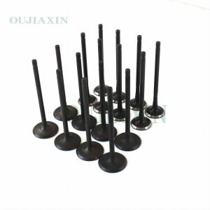 Valves – Hyundai G4NA (22211-2E400, 22212-2E000)