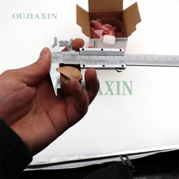 Piston Assembly — Audi C6 3.0T 6-Cylinder (STD) — 06E107065DM