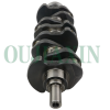 Crankshaft - Isuzu 4BJ1