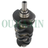 Crankshaft - Isuzu 4BJ1