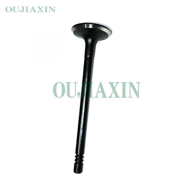 D4CB Valve 22211-4A061 22212-4A061 D4CB Valve 22211-4A061 22212-4A061