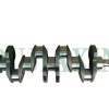 Mitsubishi 4D56T Crankshaft Mitsubishi 4D56T Crankshaft