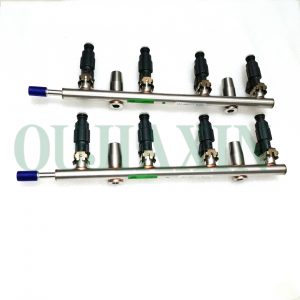 Fuel Rail Assembly 1100100-EG01B