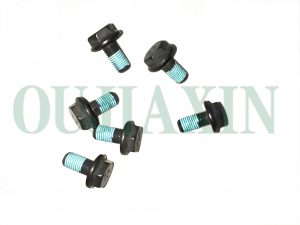 Flywheel Bolt 1005011-EG01